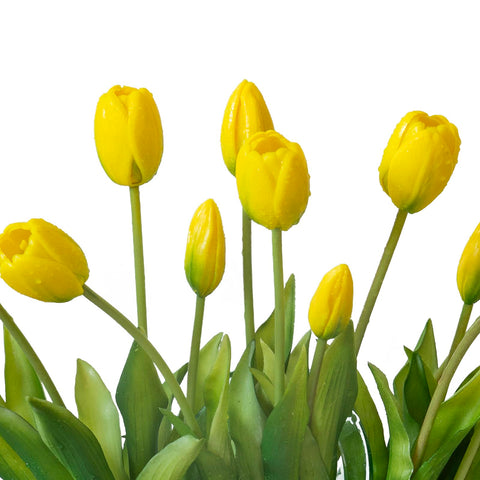 DUYONE tulips with water spray effect, lifelike dewdrops on petals.
