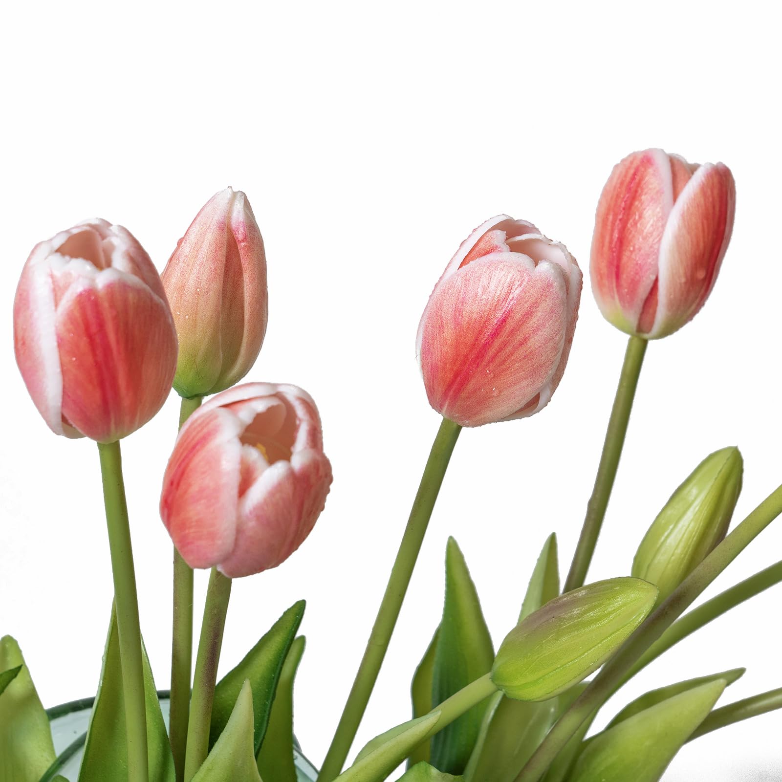 DUYONE tulips spray-friendly surface lets you condense water droplets for a lifelike touch.