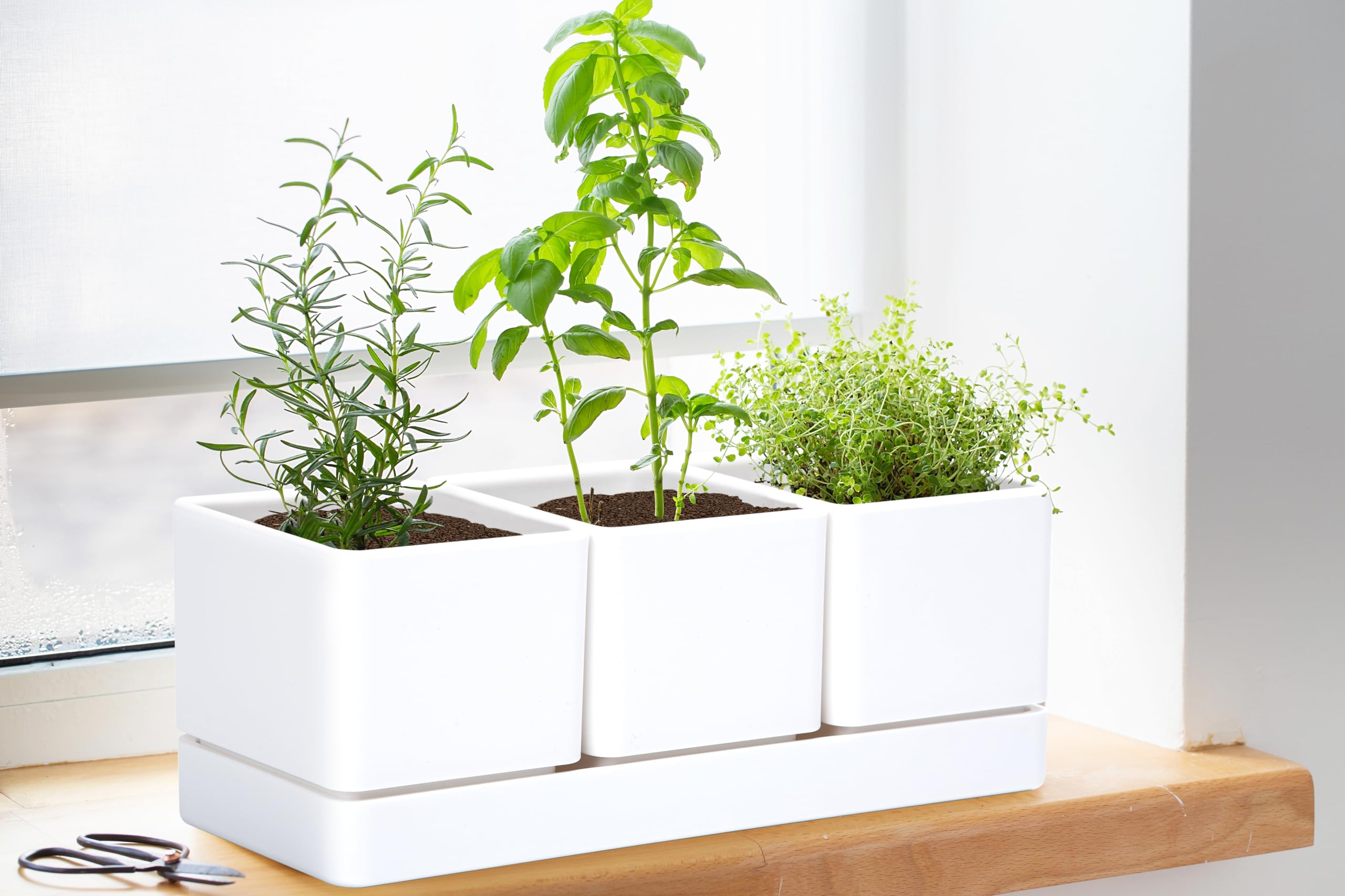 D'vine Dev matte finish plastic pots blend with modern kitchen decor