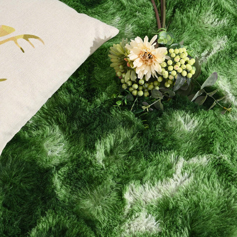 DweIke soft velvet material rug is pet-friendly.