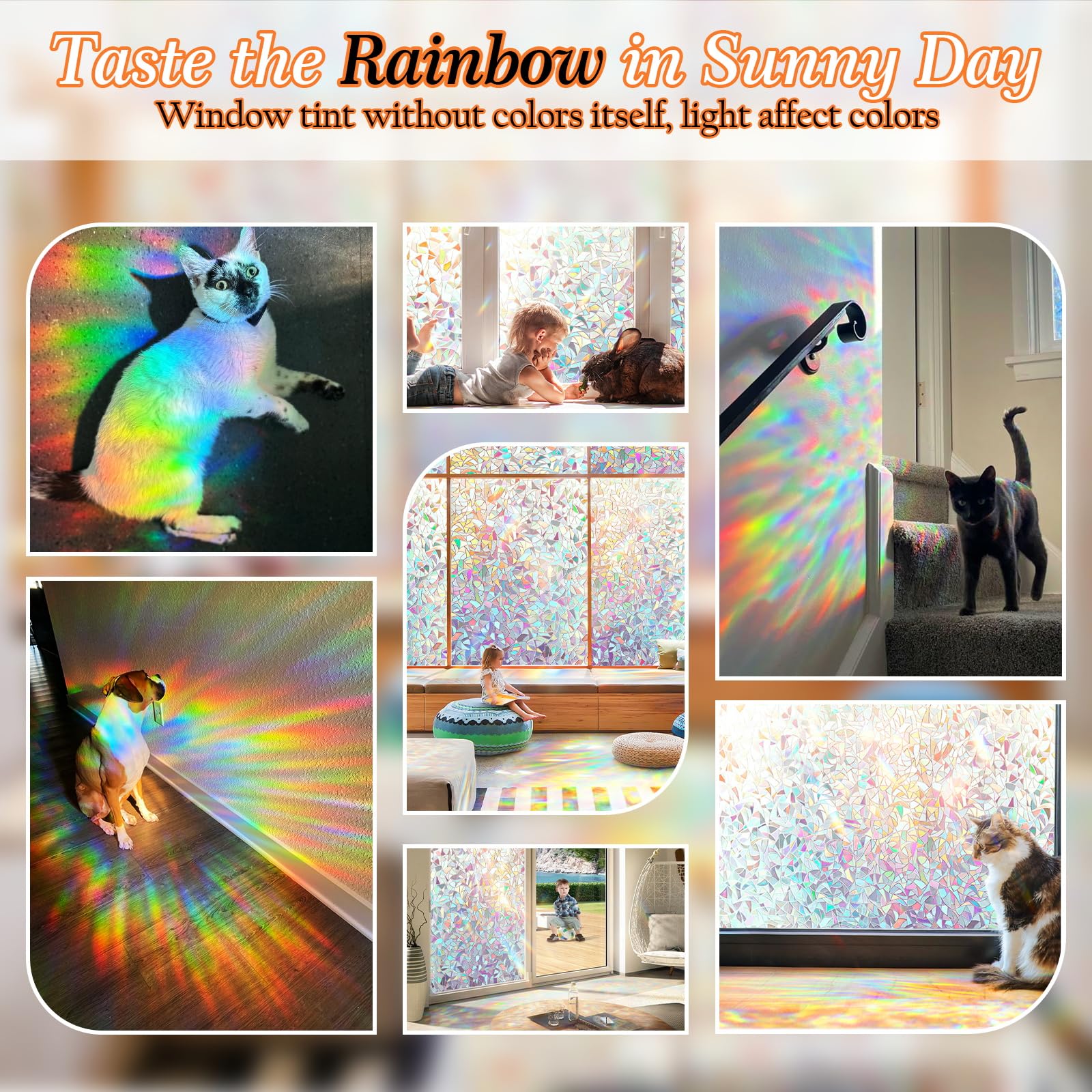 Dwersty Rainbow Window Film blocks UV rays to reduce glare and fade.