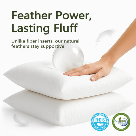 DWR pillow inserts 20x20 in boxed packaging, ready for storage or gifting.