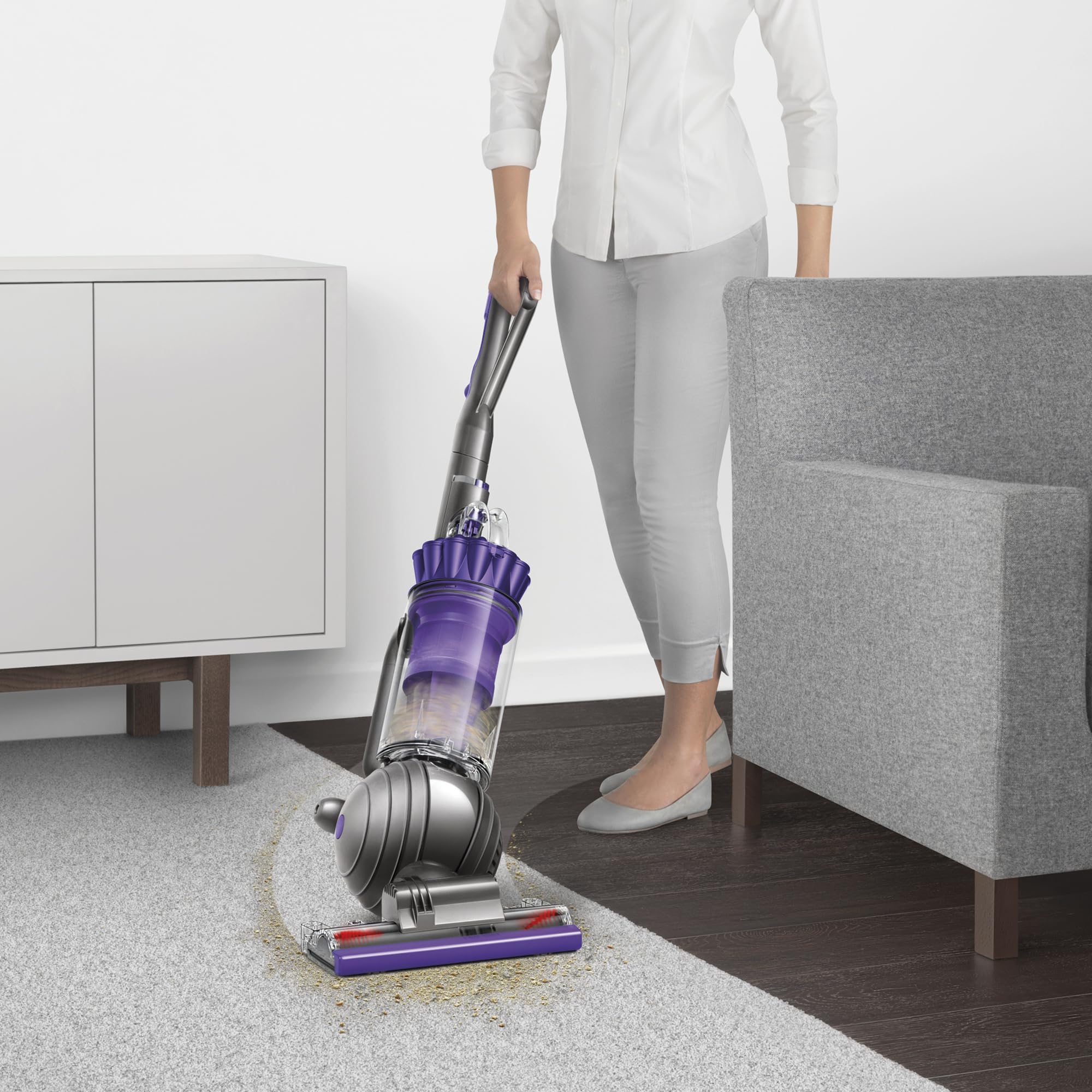 Dyson Ball Animal 2 handles everyday pet messes with ease.