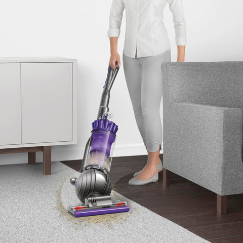 Dyson Ball Animal 2 handles everyday pet messes with ease.