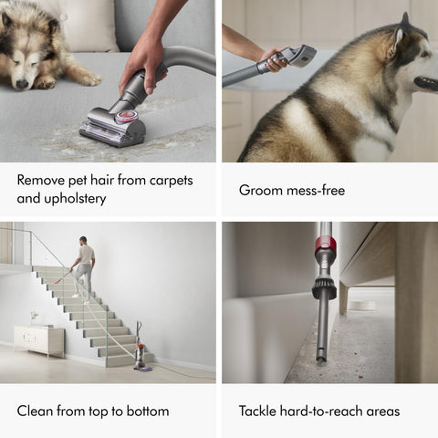 Dyson Ball Animal 3 Extra 50ft Reach demonstrates extended cleaning range across rooms