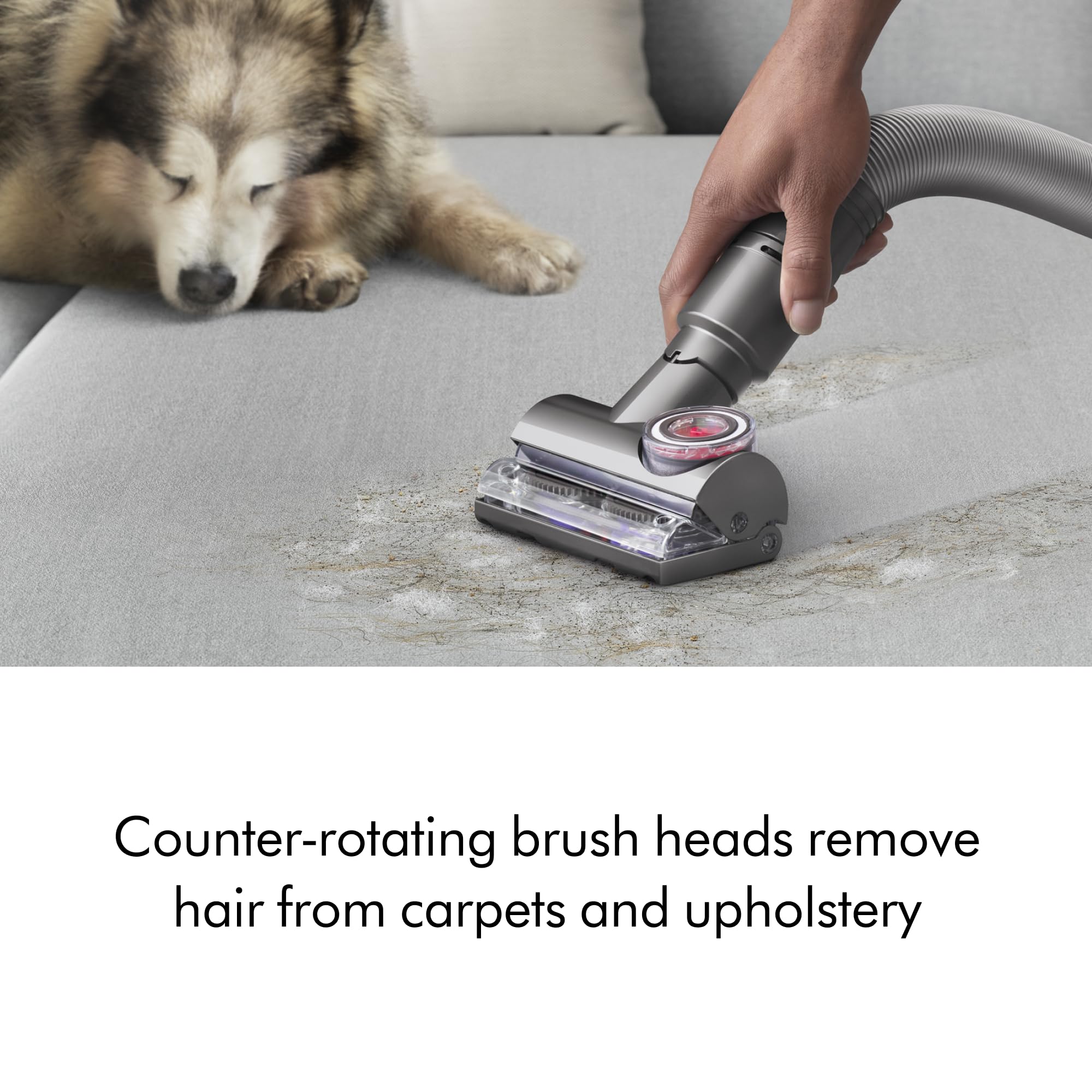 Whole-machine filtration on Dyson Ball Animal Total Clean traps particles inside.
