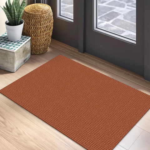 EARTHALL woven area rug 2x3 for front door with non-slip backing.