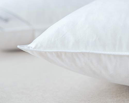 Eastwarmth pillow packaging image shows clean, ready-to-ship packaging.