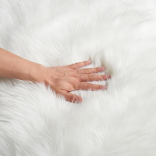 EasyJoy easy clean fuzzy rug vacuum-friendly for quick upkeep.