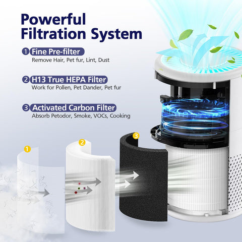Ecleanfy filtration layers diagram highlights nylon pre-filter, H13 layer, and activated carbon.