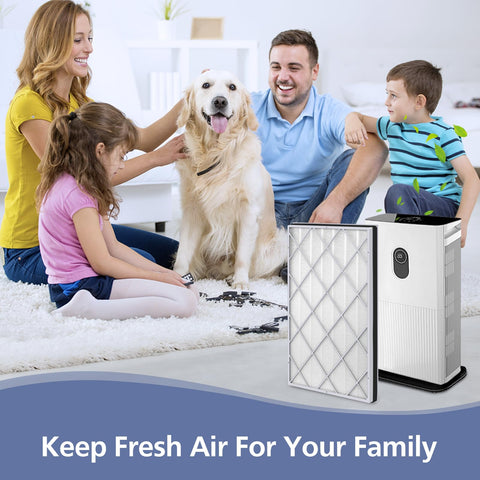 Ecleanfy HE601 filter life reset tip illustration guides timer reset