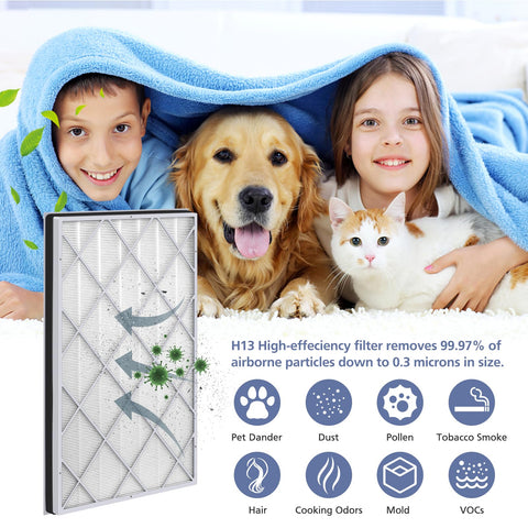 Ecleanfy HE601 true HEPA media close-up reveals filtration layers
