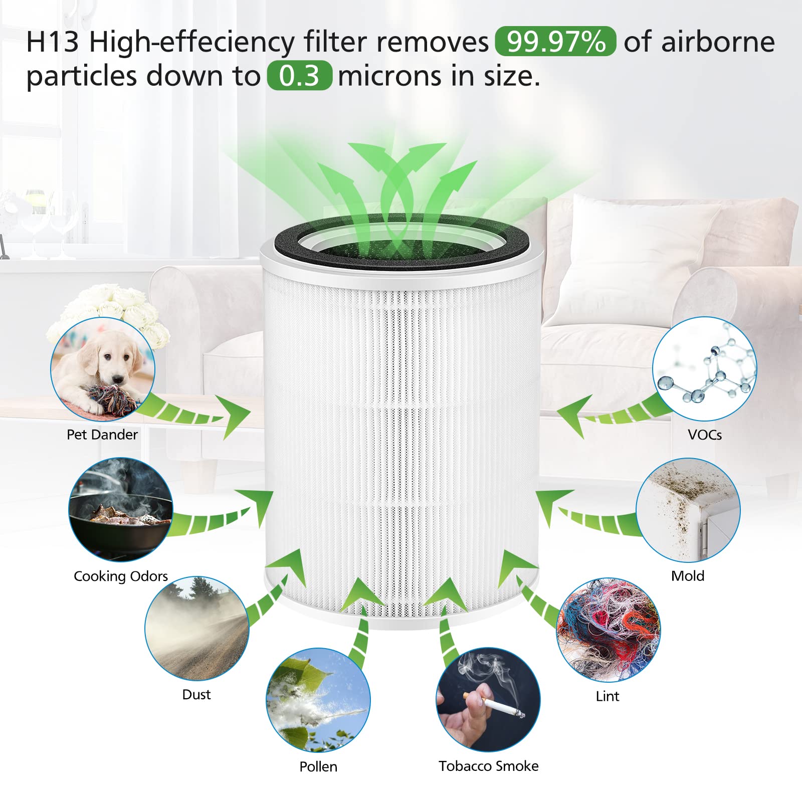 Ecleanfy TPAP001 3-in-1 assembly with main, carbon, and pre-filter