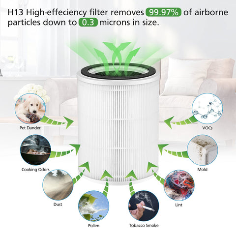 Ecleanfy TPAP001 3-in-1 assembly with main, carbon, and pre-filter