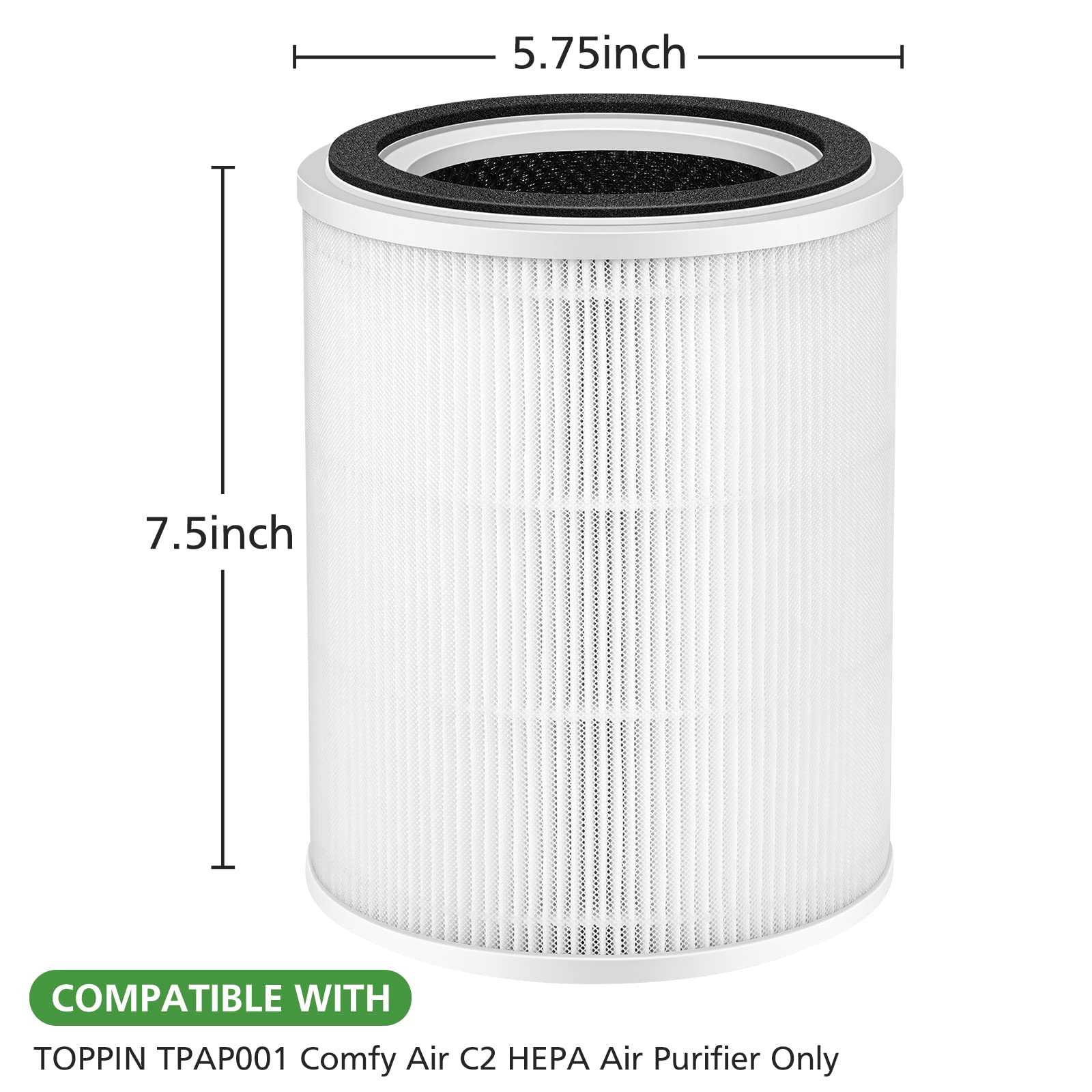 Ecleanfy TPAP001 filter two-pack offering value and convenience
