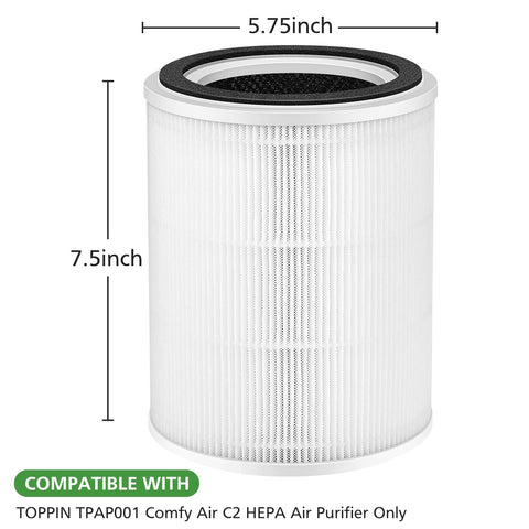 Ecleanfy TPAP001 filter two-pack offering value and convenience