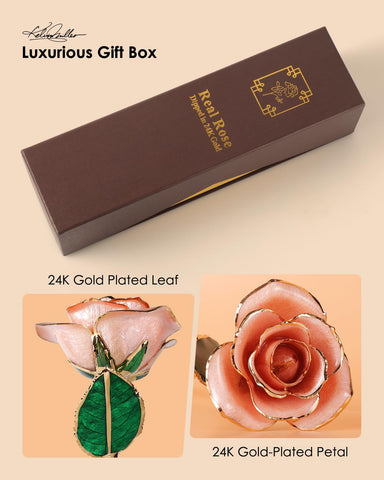 Eco Space brown gift box packaging, ready to gift straight out of the box