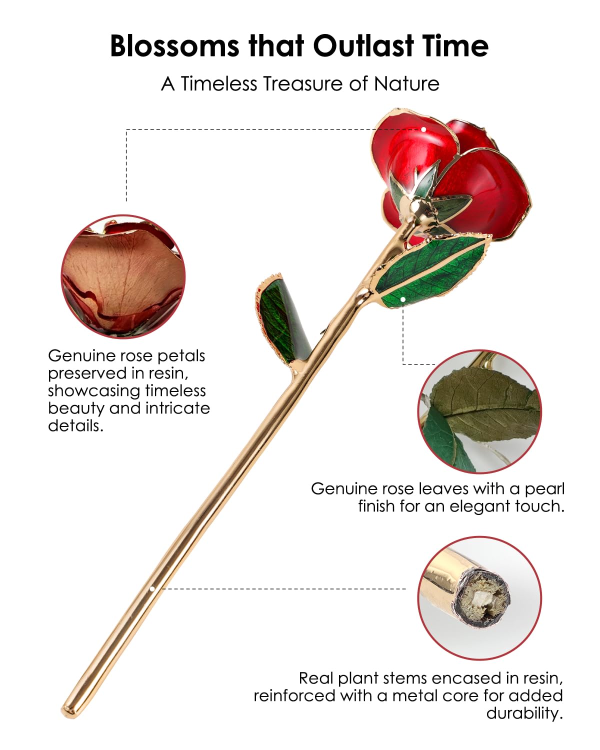 ECO SPACE Gold Dipped Rose with 24K gold finish on petals for elegance