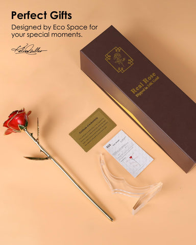 ECO SPACE Gold Dipped Rose ideal for Valentine’s Day and anniversaries