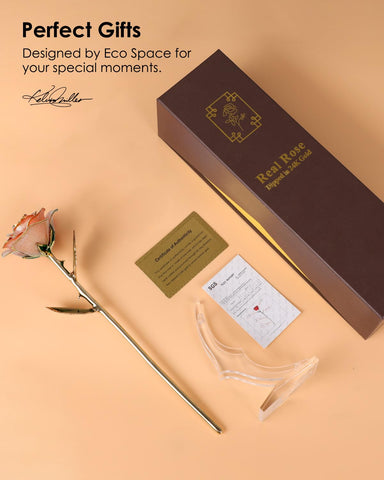 Eco Space romantic gift idea, perfect for anniversaries and special occasions