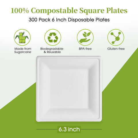 ECOLipak compostable square plates, ideal for gatherings and events.