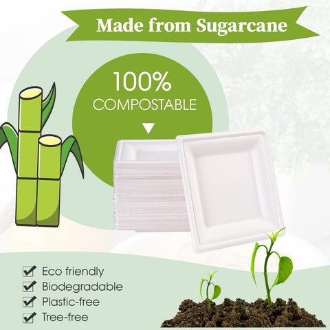 Microwave-safe ECOLipak plates for quick reheats and easy cleanup.