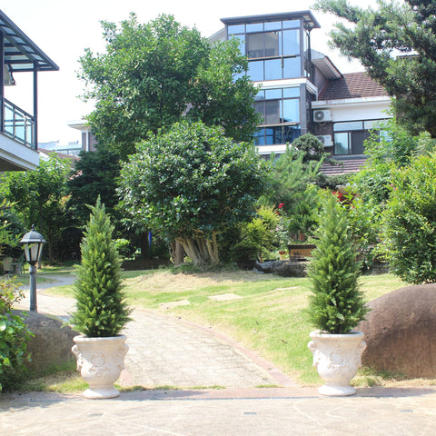 ECOLVANT 3ft topiary in a planter demonstrates easy indoor or outdoor styling.