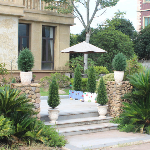 ECOLVANT topiary provides evergreen greenery with no watering or pruning.