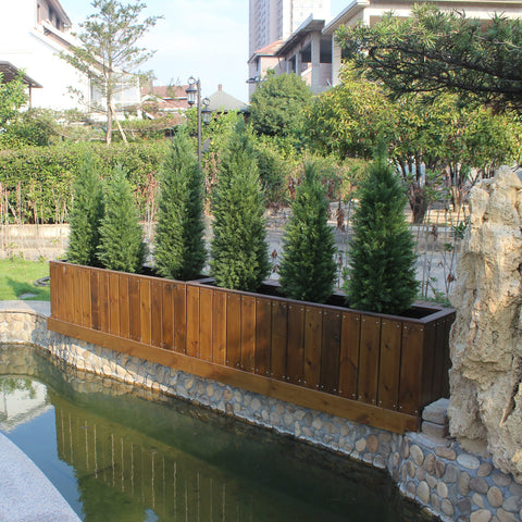 ECOLVANT cedar topiary placed neatly in a planter.