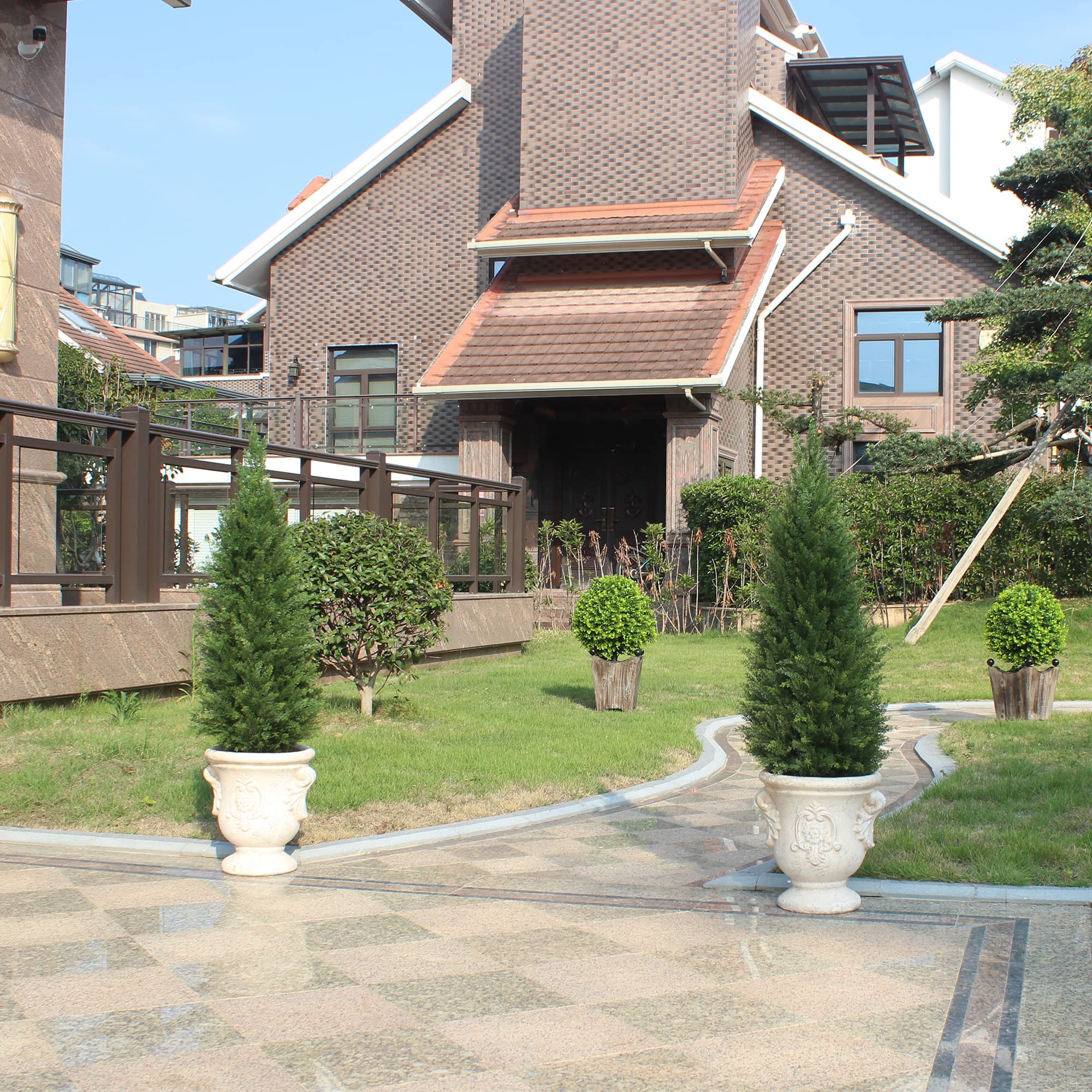 ECOLVANT cedar topiary arranged in an outdoor setup.