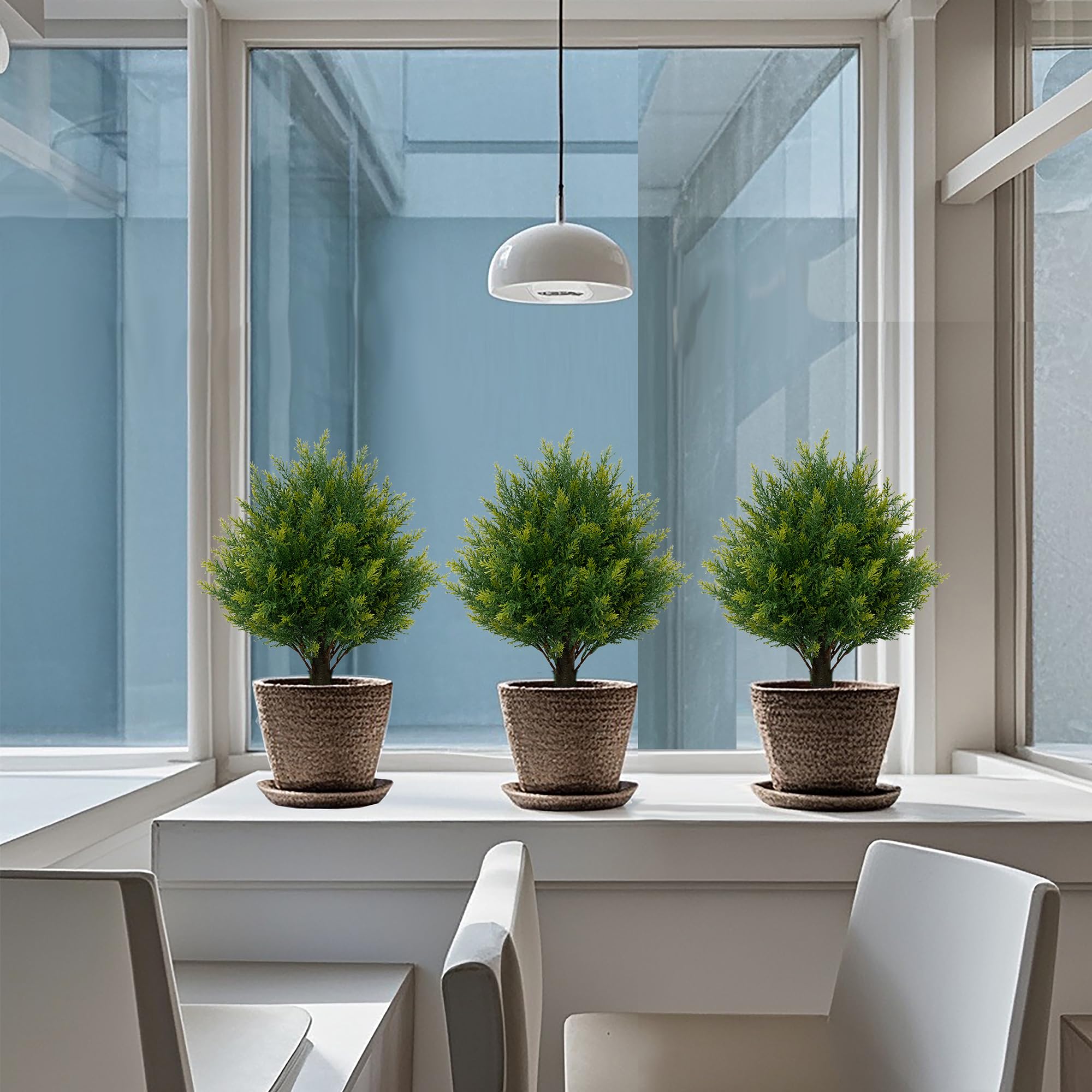 ECOLVANT topiary in garden setting adds evergreen greenery.