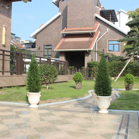 ECOLVANT topiary in planter, adaptable for indoor or outdoor decoration.