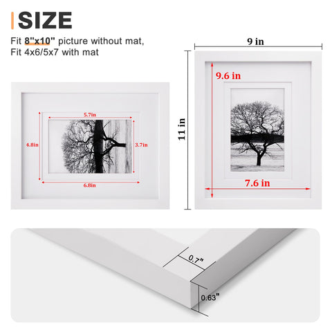 Egofine 8x10 frame with clear Plexiglass protecting daily memories