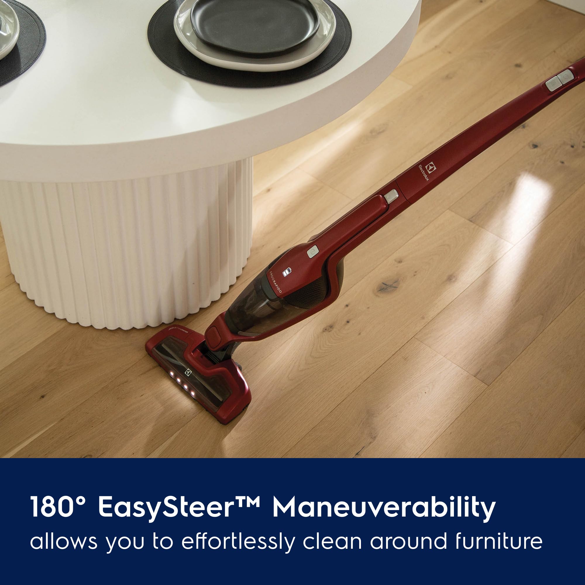Electrolux Ergorapido Pet nozzle excels at removing hair from sofas