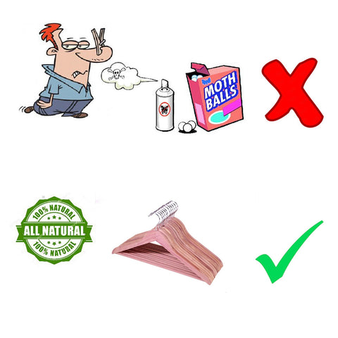 ELONG HOME cedar hangers packaging shows a 12-pack designed to prevent breakage.