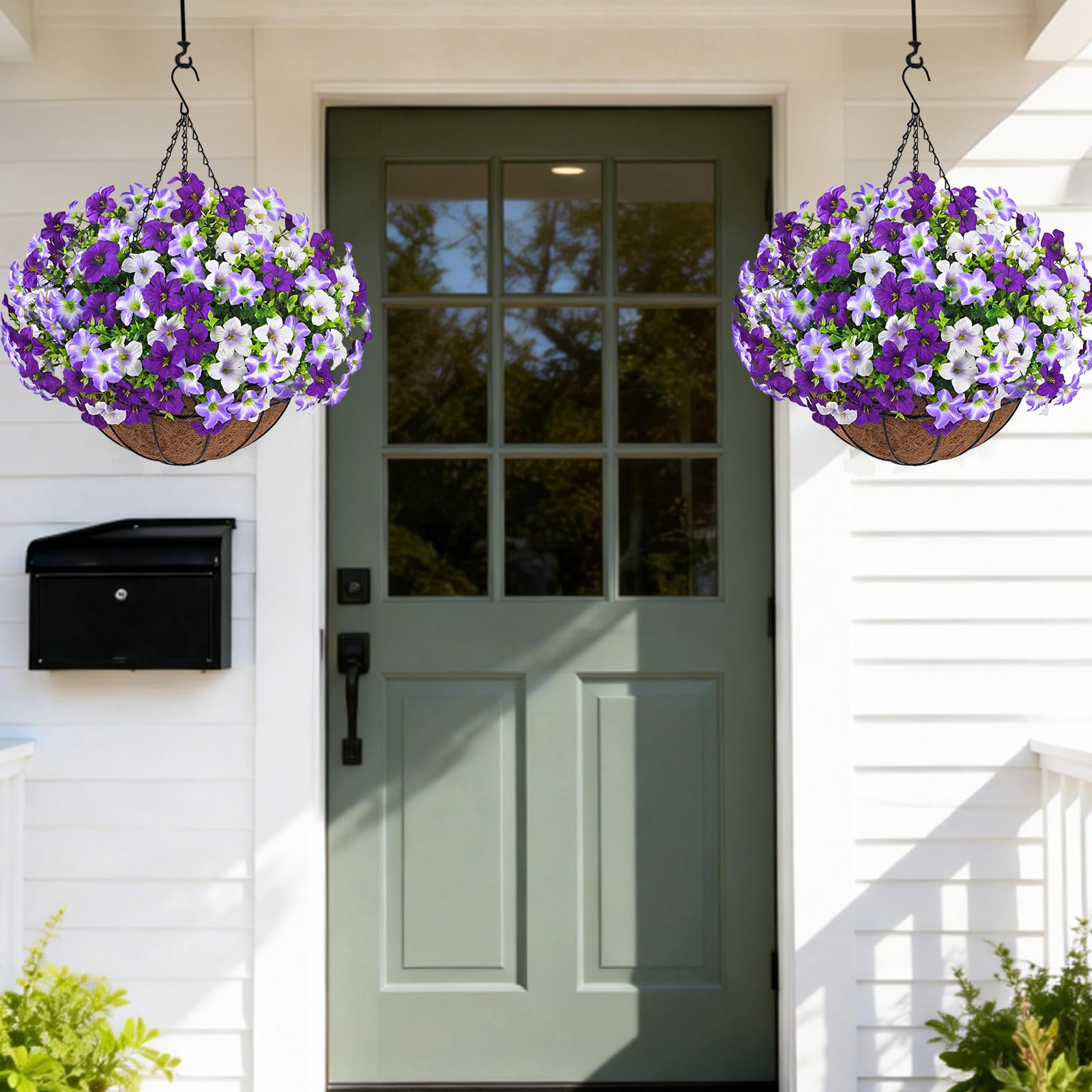 Elyum 13.8-inch stem morning glory ideal for hanging baskets.