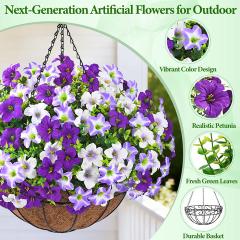 Elyum full-color morning glory collection for patios and balconies.