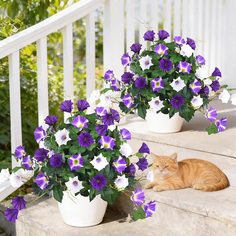 Elyum porch and entryway styling with purple blooms