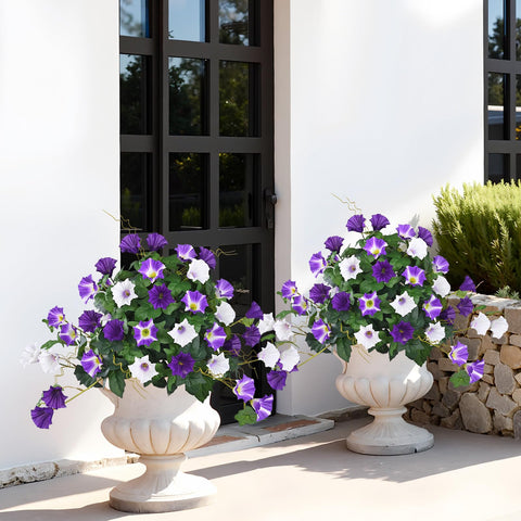 Elyum purple morning glory topiary collection enhances curb appeal