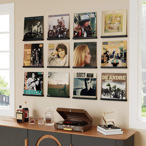 Emfogo compact design saves space while showcasing each album's cover.