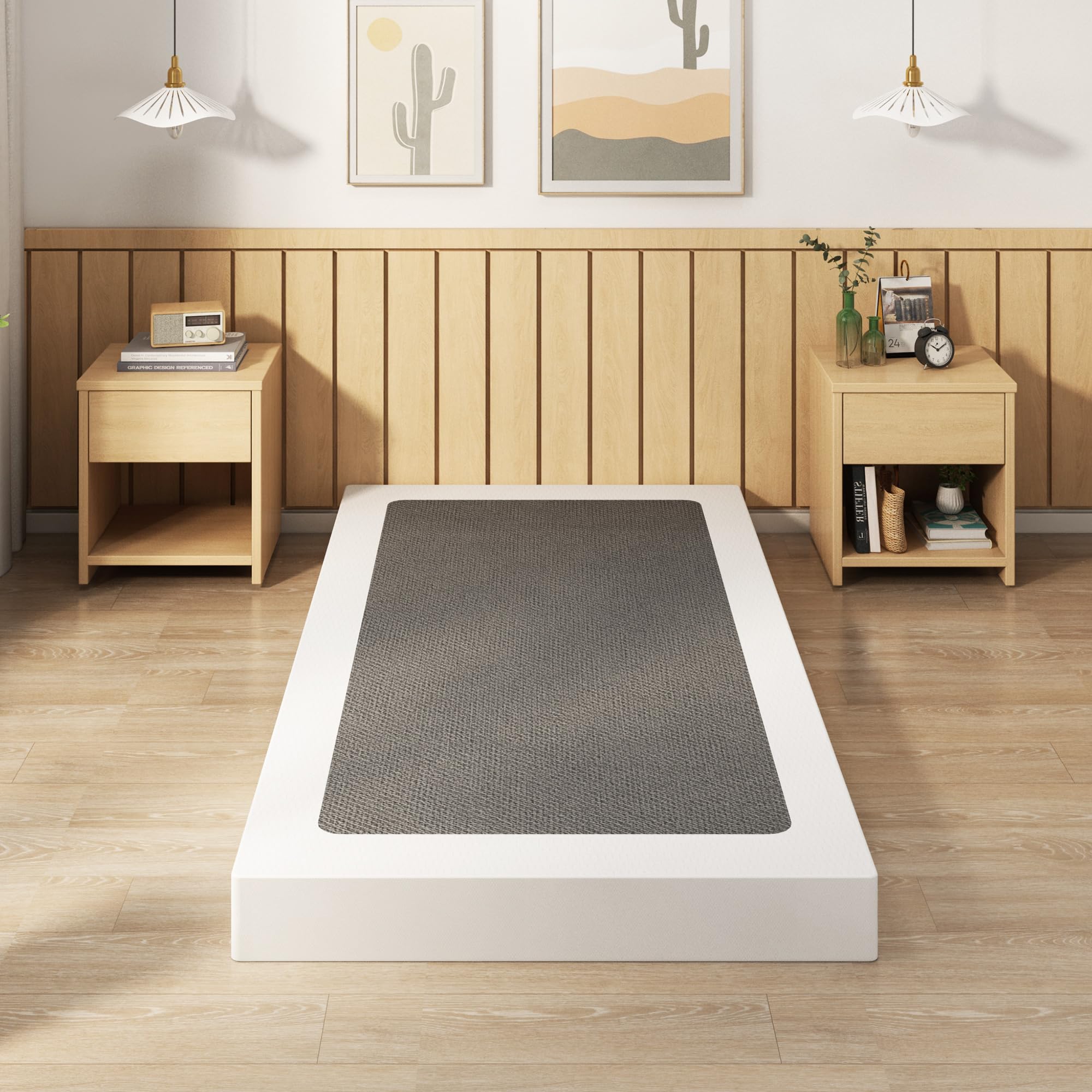 EMODA packaging photo reveals compact box for safe shipping