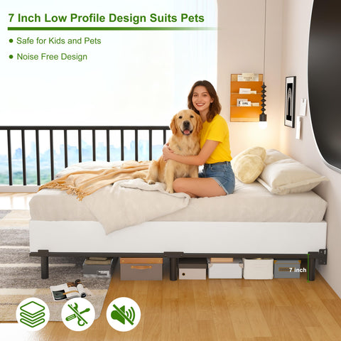 EMODA includes hardware and instructions for easy installation.