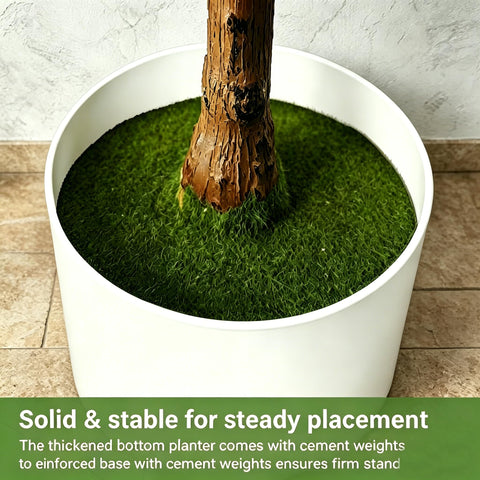 ENLETRAN 6ft olive tree suits living rooms, offices, and entryways.