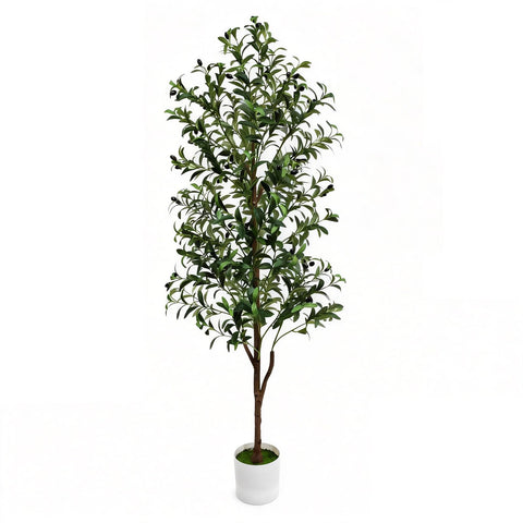 ENLETRAN Olive Tree 6ft with pot showcases lifelike leaves for natural indoor ambiance.