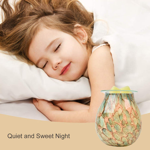 EQUSUPRO plug-in fragrance warmer showcases easy safe operation.