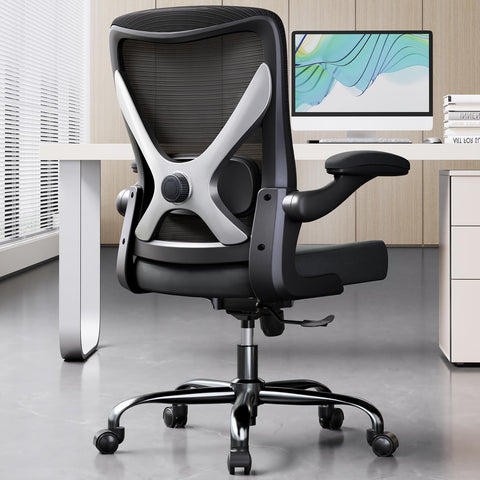 Ergalithic ergonomic chair showing adjustable lumbar pillow for posture support during long workdays.