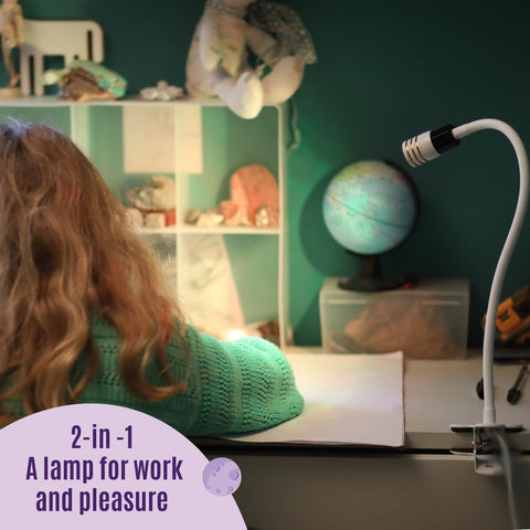Ergojojo Saturn clip-on lamp includes a 1-year warranty.