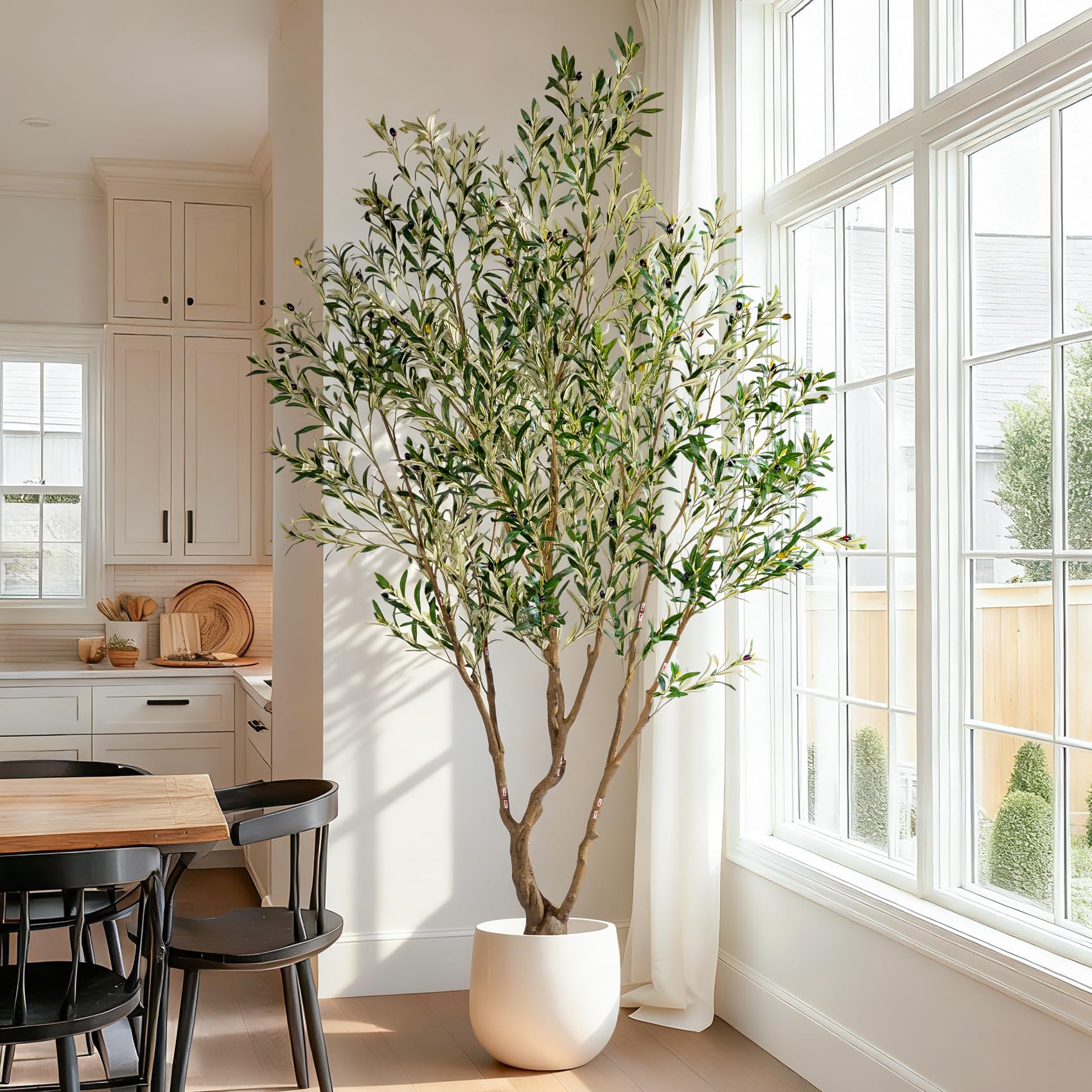 Erimda large indoor decor olive tree enhances living rooms and offices.