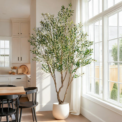 Erimda large indoor decor olive tree enhances living rooms and offices.