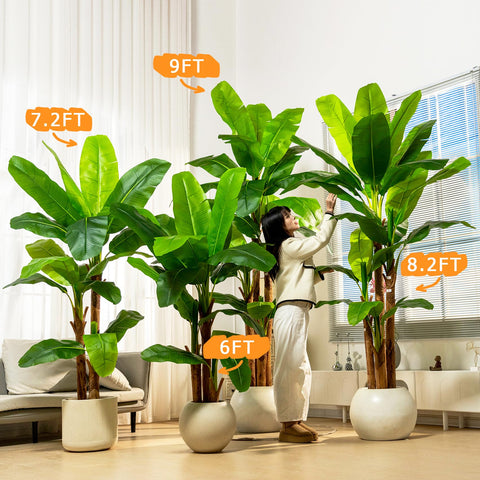 Erimda 6FT banana tree suits balconies and outdoor corners